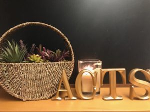 Chiropractic Parkland WA Decor at Acts Chiropractic Center